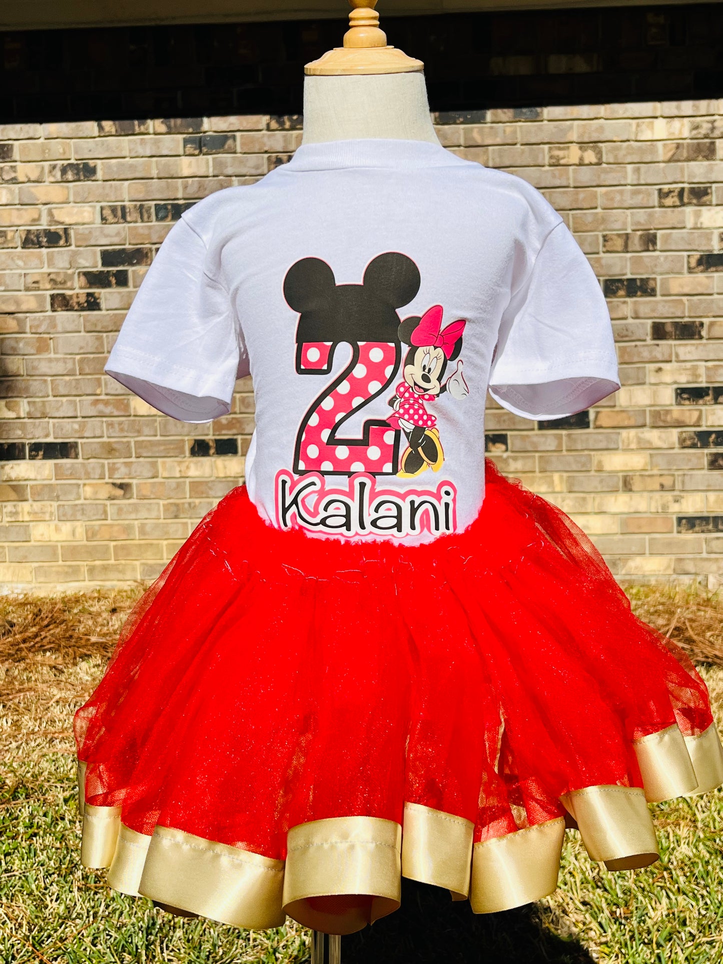 MINNIE MOUSE BIRTHDAY TUTU SET!!