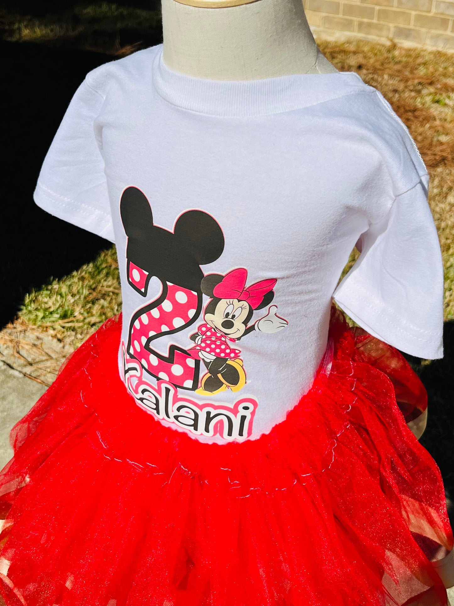 MINNIE MOUSE BIRTHDAY TUTU SET!!