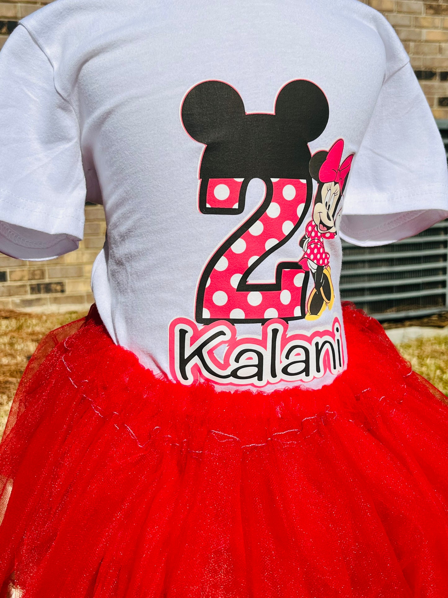 MINNIE MOUSE BIRTHDAY TUTU SET!!